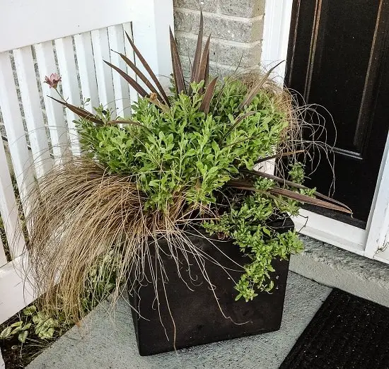 Decorative Planter