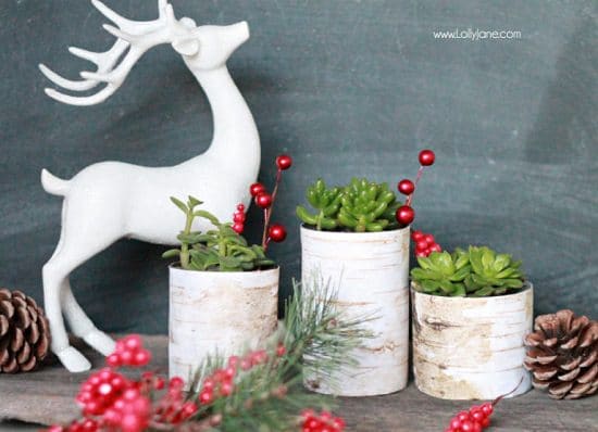 Tin Can Planter