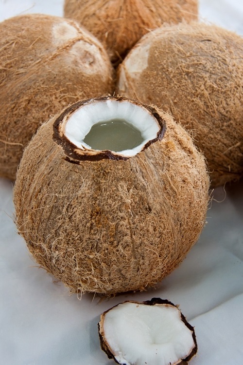 Is Coconut a Nut