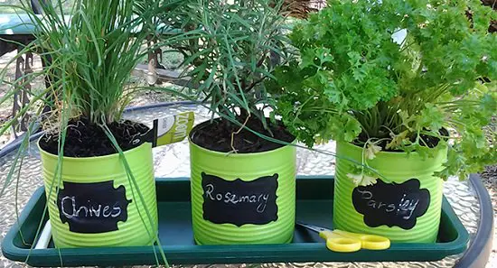 Top Gardening Gifts