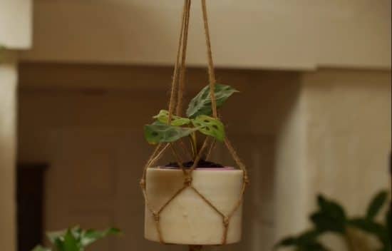 DIY Rope Plant Hanger Ideas 6