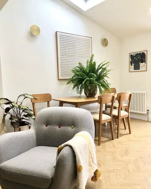 bosten fern fplant for coffee table 12