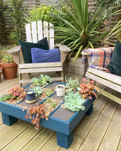 succulent plant for Coffee Table 5