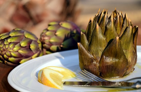Plants for best weight loss