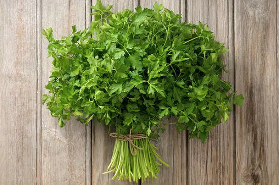 Plants that will help you to reduce weight