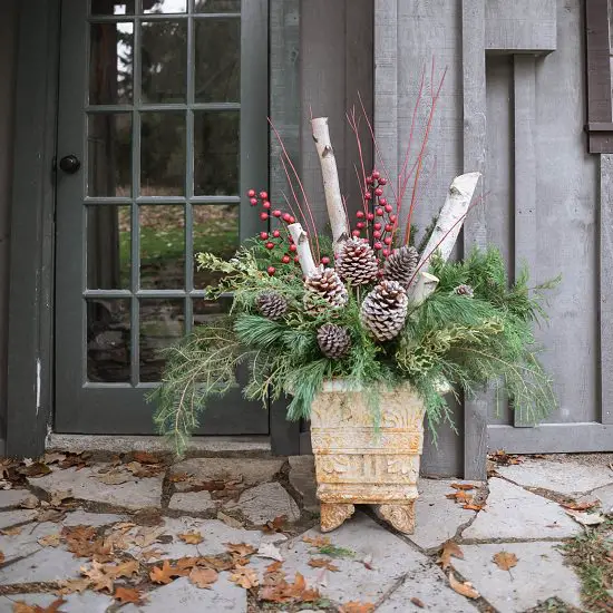 Evergreen Planter