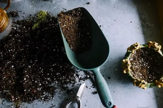 Best Soil For Potting Tomatoes In The Pot