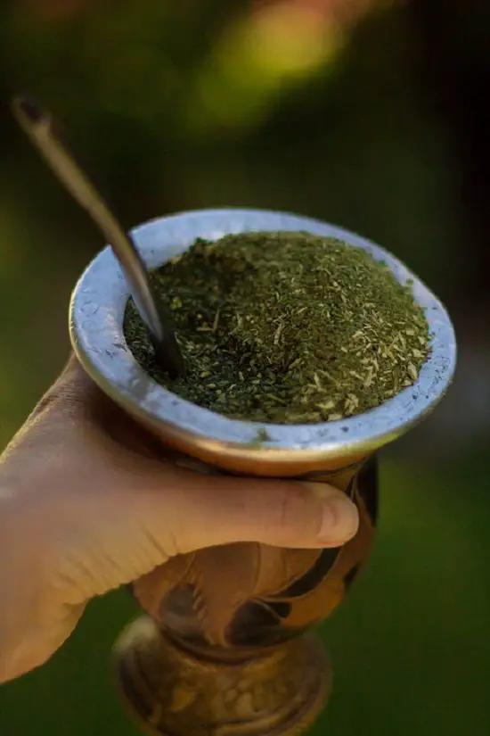 Herbs that burn belly fat fast