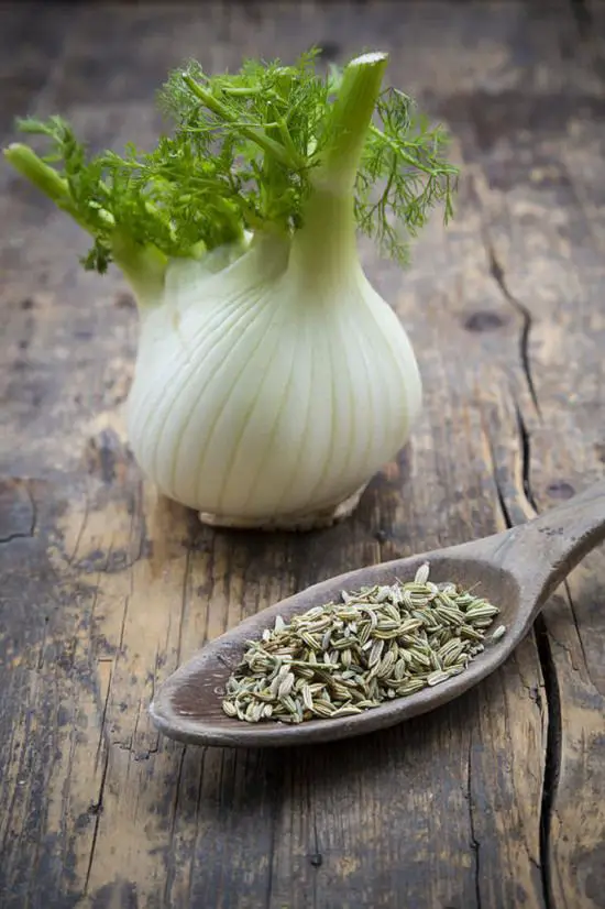 Herbal weight loss supplements