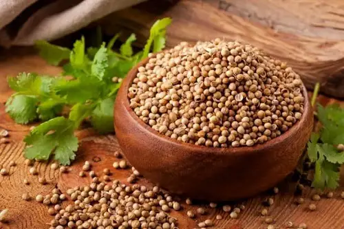 cilantro Seeds from Fridge/Pantry