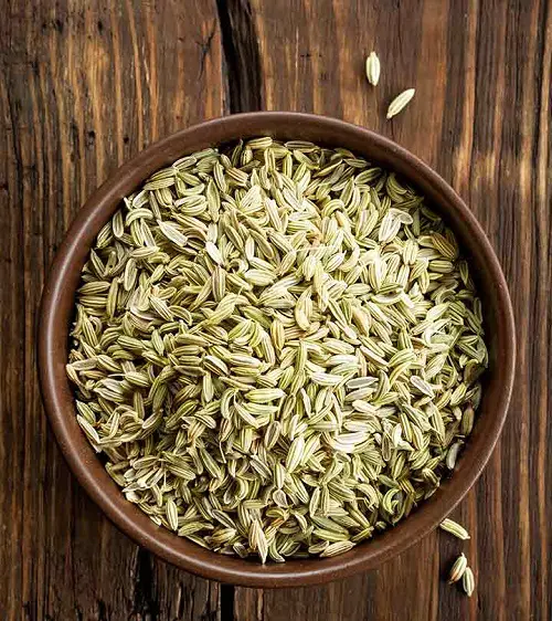 fennal Seeds from Fridge/Pantry