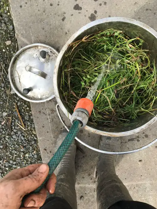 How to Make Liquid Fertilizer from Grass Clippings? 1