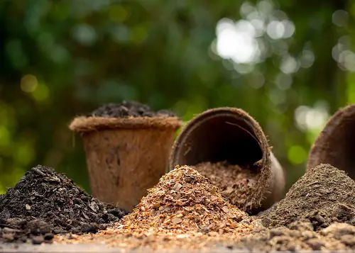 Some Myths and Precautions to Be Considered Regarding Bone Meal
