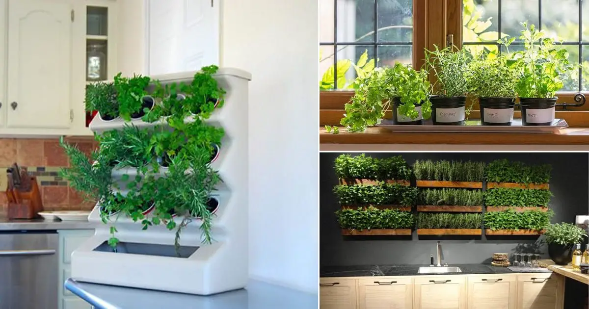 indoor kitchen herb garden with artificial light