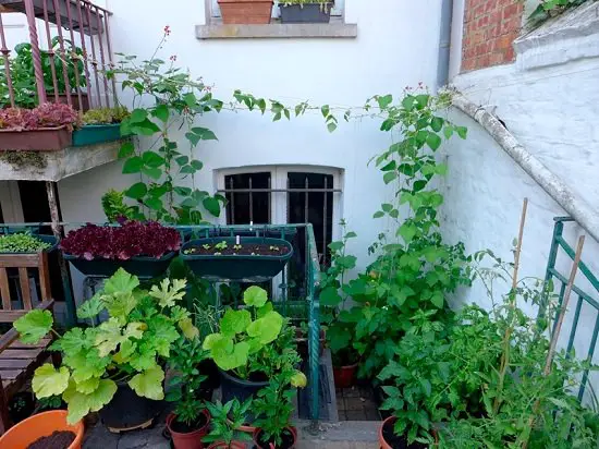 Outdoor Balcony Kitchen Ideas 5