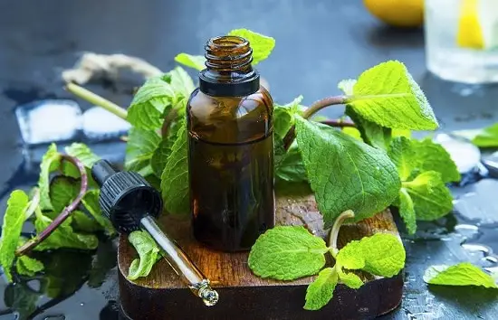 Use Peppermint Oil To Repel Mice In Home in the most effective way