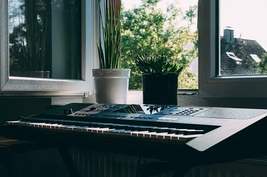 Do Plants Like Music