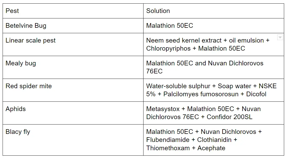 Table