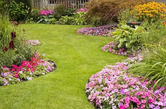 Basic Lawn Care Questions