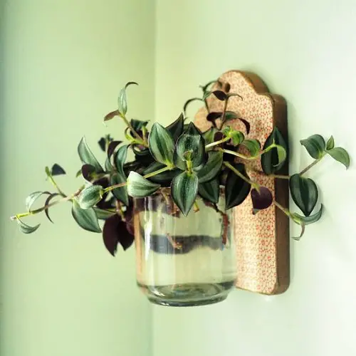 Plants Cuttings for a Windowless bathrooms