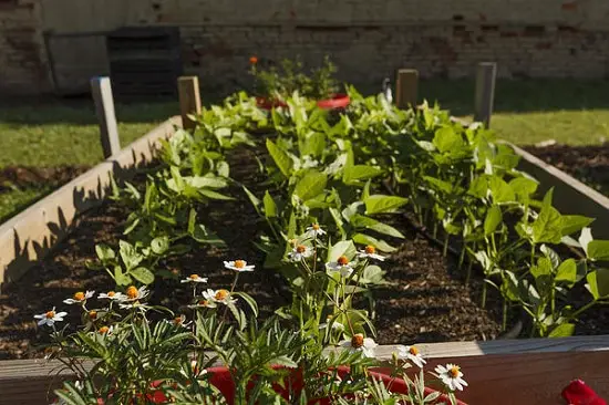 Making a Raised Garden Bed