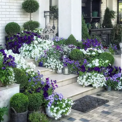 White and Purple Flowerbed