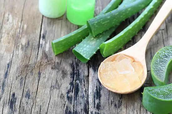 Can You Eat Aloe Vera Plant 2