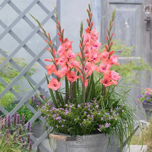 Funeral Flower Types