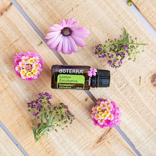 Lemon Eucalyptus Essential Oil