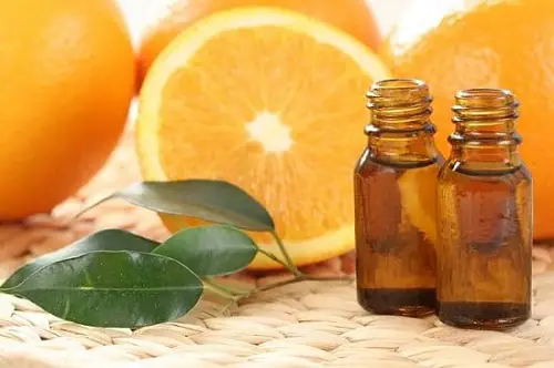 Orange Essential Oils for Gardening 5