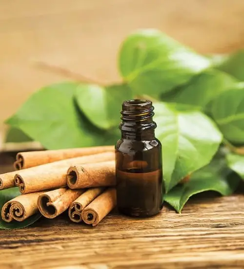 Cinnamon Essential Oil for garden use