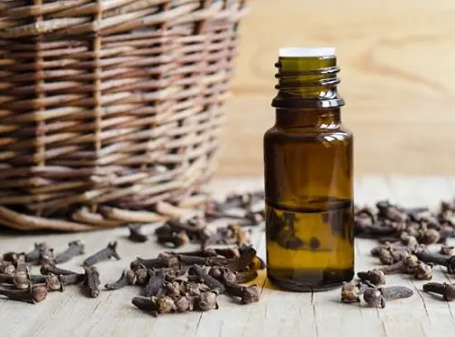 Clove Essential Oil
