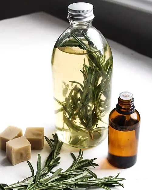 Best Essential Oils for Gardening and How to Use Them