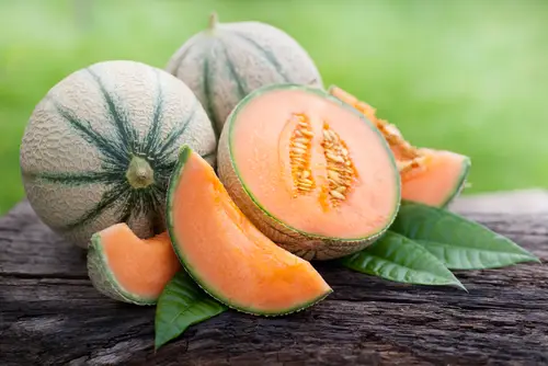 What is Cantaloupe