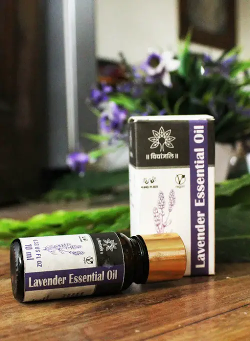 Lavender Essential Oil in garden