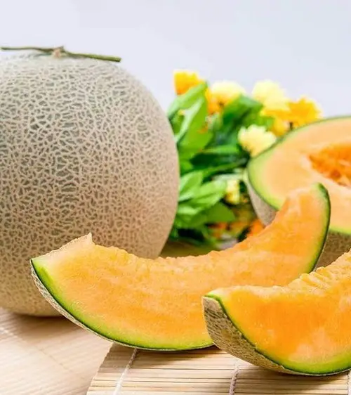 What is a MuskMelon