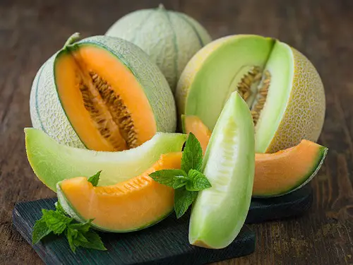 Difference Between MuskMelon and Cantaloupe | Muskmelon vs Cantaloupe 