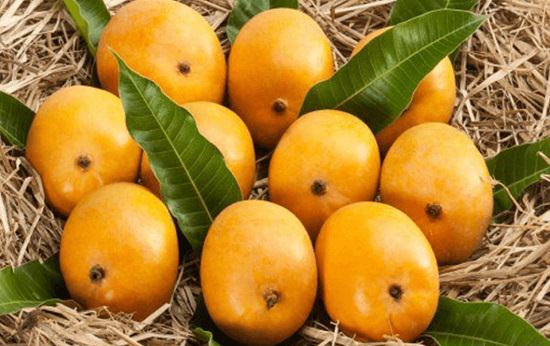 Alphonso