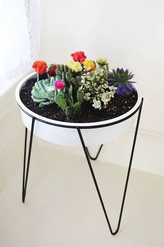 DIY Cactus Garden Ideas 7