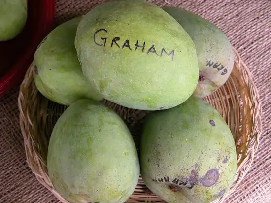 Graham