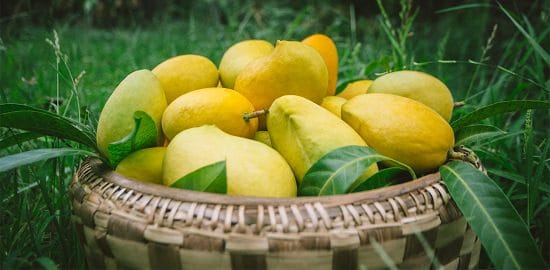 Different Types of Mangoes Sein Ta Lone