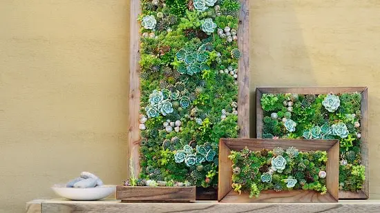 DIY Vertical Gardening Ideas 25