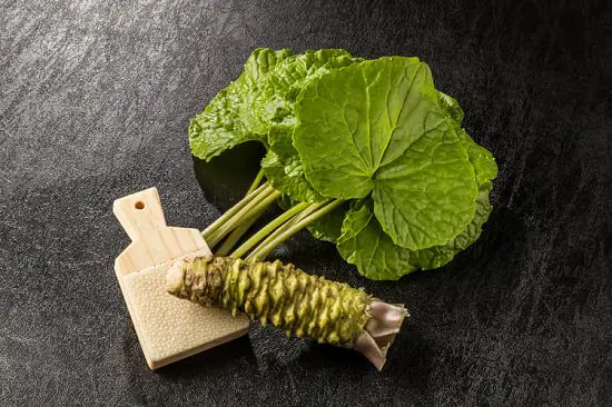 How to Grow Wasabi 3