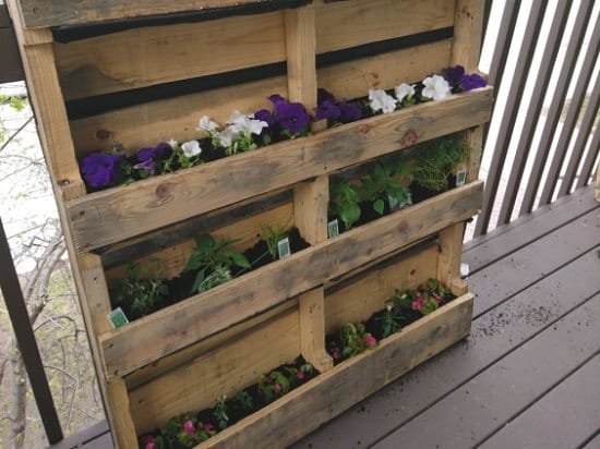 DIY Vertical Gardening Ideas 10