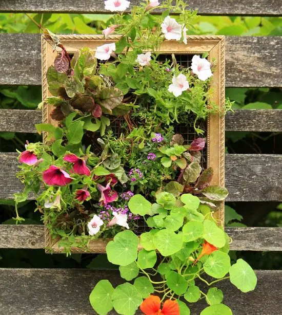 DIY Vertical Gardening Ideas 16