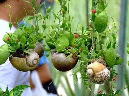 Stylish Mini Gardens For Unique Decoration