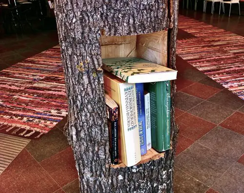 Creative Things to Do with Tree Stumps 35