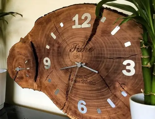 Creative Things to Do with Tree Stumps 40