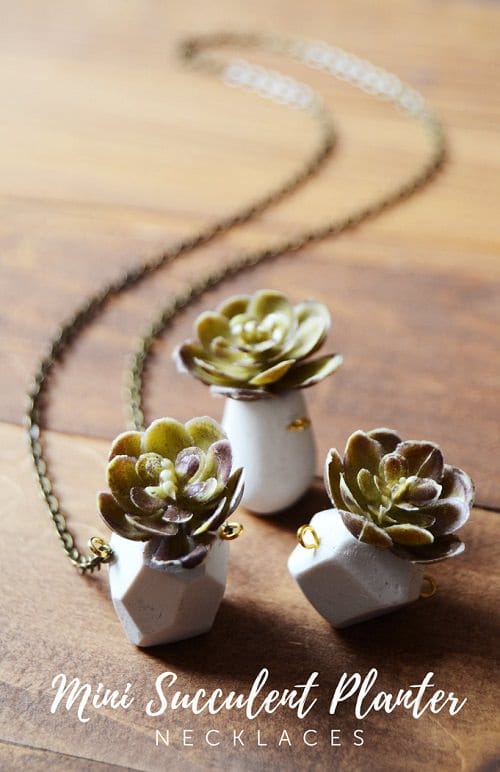 Stylish Mini Gardens For Unique Decoration 6