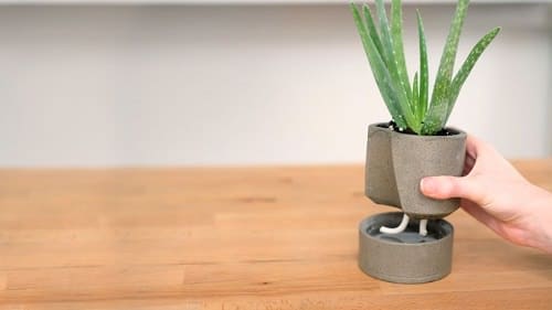Stylish Mini Gardens For Unique Decoration 7